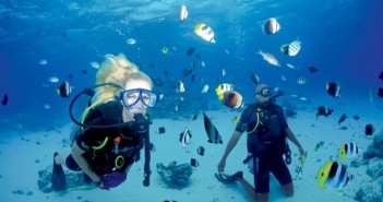 Scuba Diving a Thrilling Way to Explore the World Underwater Scuba Diving Ottawa