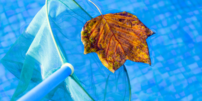 Close your pool properly this fall